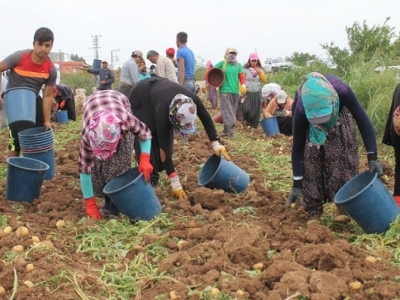 400 bin mevsimlik işçi yollara düşüyor