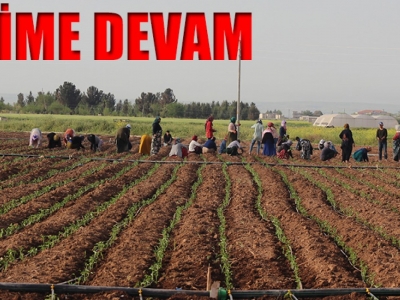 Sokağa çıkma yasağı onları bağlamadı