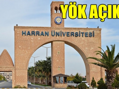 Şanlıurfa'da kaç öğretim elemanı var?