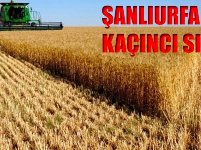 En çok üretim yapan iller açıklandı!