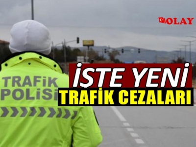 2021 yılında uygulanacak trafik cezaları belli oldu