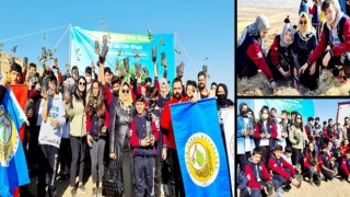 DC Lisans Koleji, Ağaç Dikim Kampanyasına Destek Verdi