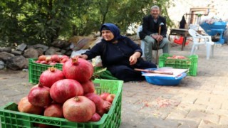 Köylüler hibe makineyle "hızlandı"