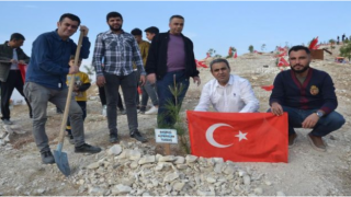 Ülkü Ocakları, fidanları toprakla buluşturdu