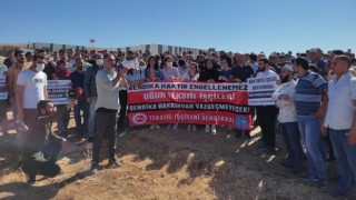 Urfa’da İşten Çıkarılan 300 İşçi İle İlgili Flaş Gelişme