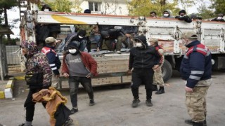 Yasa Dışı Yollarla Urfa’ya Giren 87 Yabancı Uyruklu Yakalandı