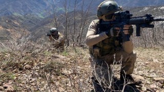 PKK'nın Üst Düzey Sorumlusu Urfa'da Öldürüldü