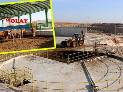 Hayvansal atıklar elektrik enerjisine ve organik gübreye dönüştürülüyor