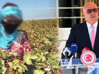 TBMM'de Tarım işçisi çocuklar için kanun teklifi