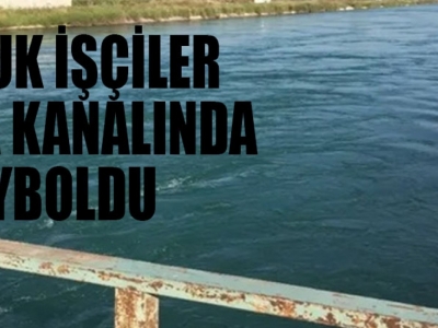 Tarım işçileri sulama kanalına düştü