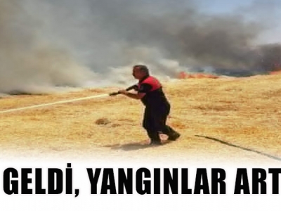 Ceylanpınar’da  yangın