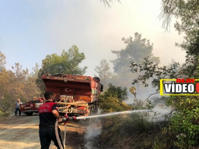 Şanlıurfa İtfaiyesi’nden Osmaniye’deki yangına destek  