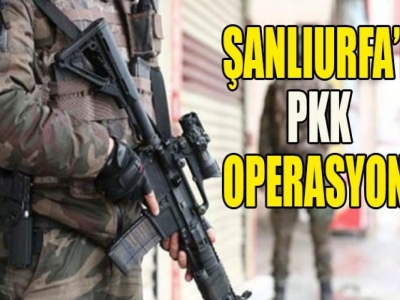 Urfa’da PKK’ya yönelik operasyon !