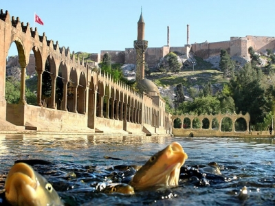 Tablo Paylaşıldı: Urfa’da Manzara Yine Aynı