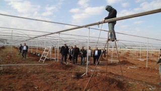 Başkan Kuş, sera projesini inceledi