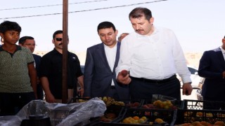 Vali Ayhan Harran’da