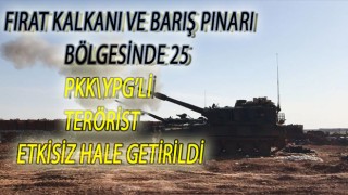 Fırat Kalkanı ve Barış Pınarı bölgelerinde 25 PKK/YPG'li terörist etkisiz hale getirildi