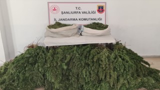 Şanlıurfa'da 23 kilogram esrar ele geçirildi