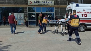 Urfa'da pamuk tarlasına devrilen otomobildeki 5 kişi yaralandı
