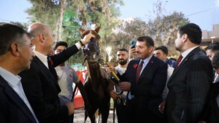 Bakan Soylu’ya yarış atı hediye edildi!