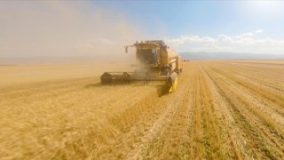 Bazı illerde TMO'nun buğday ve arpa alım primi desteğinden yararlanma süresi uzatıldı