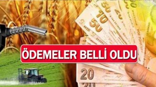 Çiftçilere bu yıl için ödenecek tarımsal destekler belirlendi