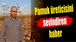 Pamuk üreticisini sevindiren haber