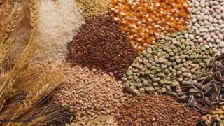 Şanlıurfa Ticaret Borsası işlemler ve fiyatlar.