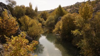 Şanlıurfalı amatör fotoğrafçılar sonbaharı fotoğrafladı