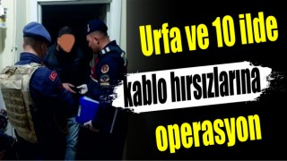 Urfa ve 10 ilde kablo hırsızlarına operasyon