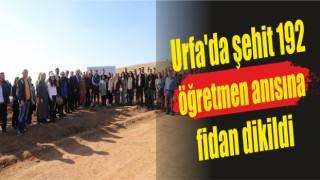 Urfa'da şehit 192 öğretmen anısına fidan dikildi