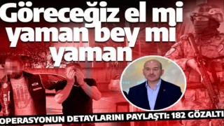 Bakan Soylu, Urfa'dan "Kökünü Kurutma Operasyonu"na ilişkin açıklama yaptı