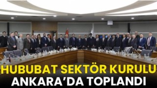 Hububat Sektör Kurulu Ankara'da toplandı