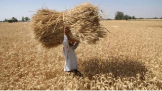 Kasımda, tarım ürünleri üretici enflasyonu aylık yüzde 7, yıllık yüzde 170 arttı