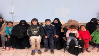 Urfa'da 88 düzensiz göçmen yakalandı