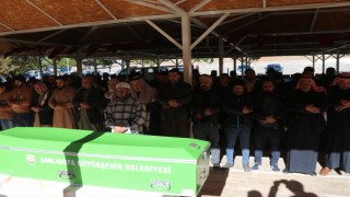 Urfa'da hayatını kaybeden 9 düzensiz göçmenden 8'i toprağa verildi