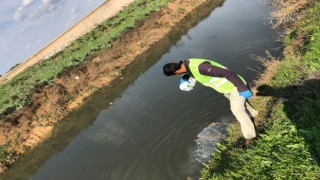 Akçakale’de larva ilaçlama çalışmaları başlatıldı