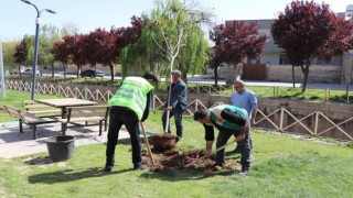 Haliliye’de park ve bahçeler yaza hazırlanıyor