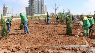 Karaköprü’de yaz ayları için park çalışmaları yapılıyor