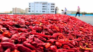 Şanlıurfa’nın ihracat ve ithalat rakamları belli oldu