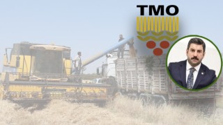 Urfa’da TMO hububat alım noktaları arttırılacak