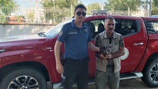 Urfa’da yaralı ve bitkin halde bulunan kızıl şahin tedaviye alındı