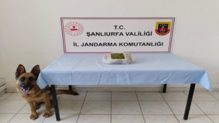 Şanlıurfa'da Uyuşturucu Operasyonu: 5 Gözaltı