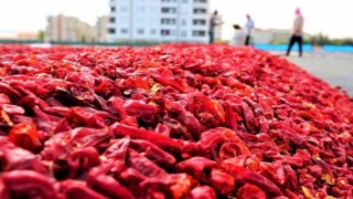 Urfa'nın İhracat ve İthalat Rakamları Belli Oldu
