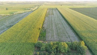 Urfa'da Alacak Verecek Kavgası Ölümle Sonuçlandı…