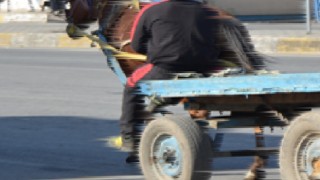 Şanlıurfa’da at arabası takla attı! Yaralılar var