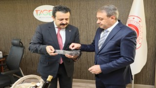Vali Şıldak: Yerli tohum altın değerinde