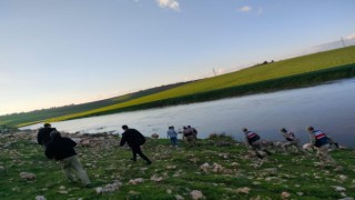 Ceylanpınar’da kayıp çocuğu arama çalışmaları 4. gününde