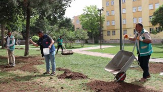 Haliliye Belediyesi ile parklar yaza hazırlanıyor