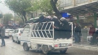 Şanlıurfa’da bir kamyonet kasasında 9 kadının yolculuk ettiği görüntülendi